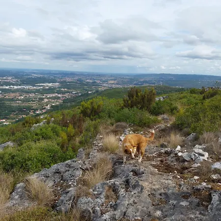 Сasa de vacaciones Casa Serra A Vista Al/140571 Pedreiras (Leiria)
